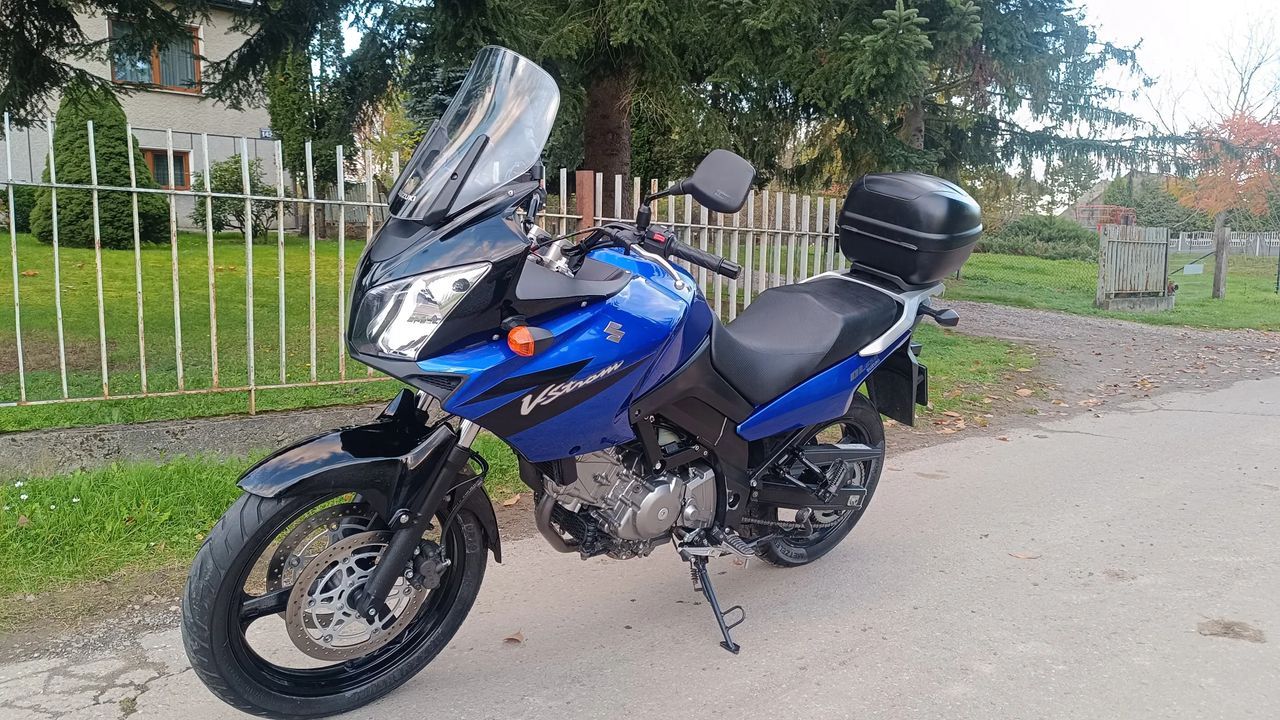 Suzuki DL